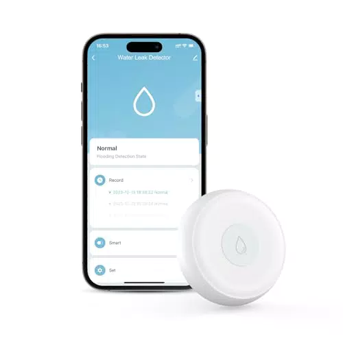 "Maxcio Détecteur de Fuite d'Eau Intelligent Compatible avec Alexa/Google Home"