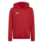 Adidas Entrada 22 Sweat Hoodie Mixte Enfant
