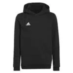 Adidas Entrada 22 Sweat Hoodie Mixte Enfant