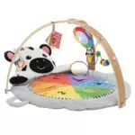 Baby Einstein Tapis d'éveil en peluche avec barre en bois pour bébés 0-12 mois