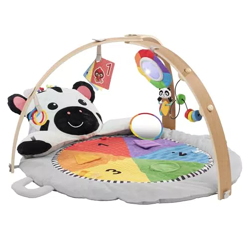 Baby Einstein Tapis d'éveil en peluche avec barre en bois pour bébés 0-12 mois