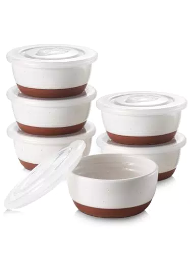 DOWAN Ramequins en Porcelaine pour Soufflés, Desserts et Snacks, Ø 11 cm