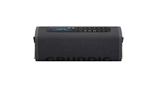 Enceinte Bluetooth 5 DAB+ 5W avec autonomie de 8 heures et entrée auxiliaire