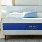 Molblly Matelas Hybride en Mousse Mémoire de Forme Ergonomique Hypoallergénique