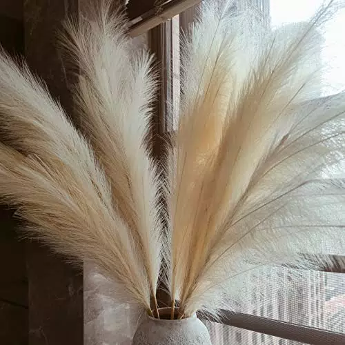 Pampa - Grandes Fleurs Artificielles pour Décoration Bohème et Mariage