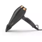 BaByliss 6719DE Air Pro 2200 - Sèche-cheveux ionique avec diffuseur et concentrateurs