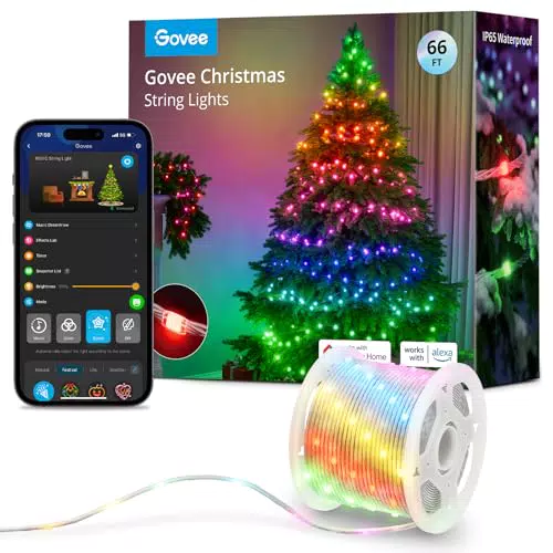 Govee Guirlande Lumineuse Extérieure 20M, Lampe LED Halloween et Noël, IP65