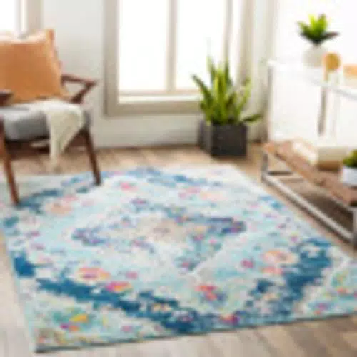 Livabliss Palma Tapis Vintage - Tapis de Salon, Salle à Manger
