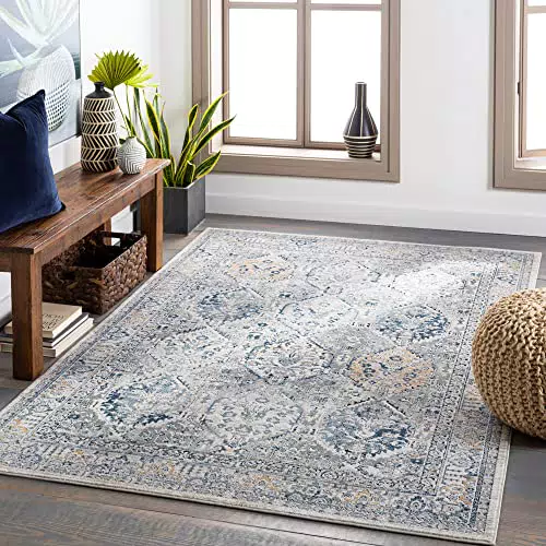 Surya Mayfair Tapis Vintage - Tapis de Salon, Salle à Manger