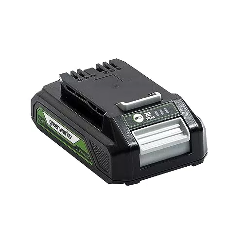 Greenworks Batterie Lithium-Ion 24V 2Ah G24B2 avec LED et Garantie 2 Ans
