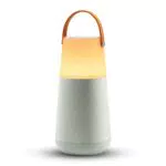 ION Audio Bright Max – Enceinte Bluetooth 360° étanche avec lumières et batterie rechargeable