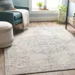 Livabliss Tapis Vintage Boho Chic pour Salon, Salle à Manger et Chambre