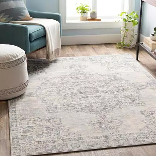Livabliss Tapis Vintage Boho Chic pour Salon, Salle à Manger et Chambre