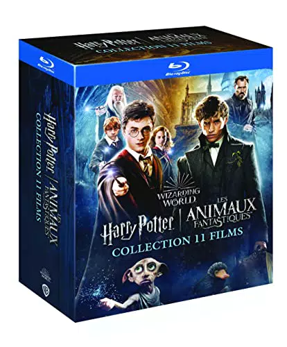 Wizarding World : Intégrale Harry Potter + Les Animaux Fantastiques : 11 Films