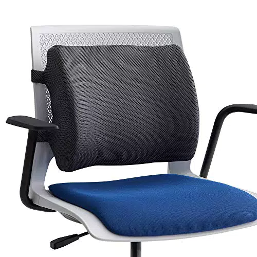 Linenspa Coussin Lombaire en Mousse à Mémoire de Forme pour Voiture et Bureau