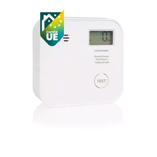 Smartwares Détecteur de CO FGA-13091 avec Écran et Indicateur LED