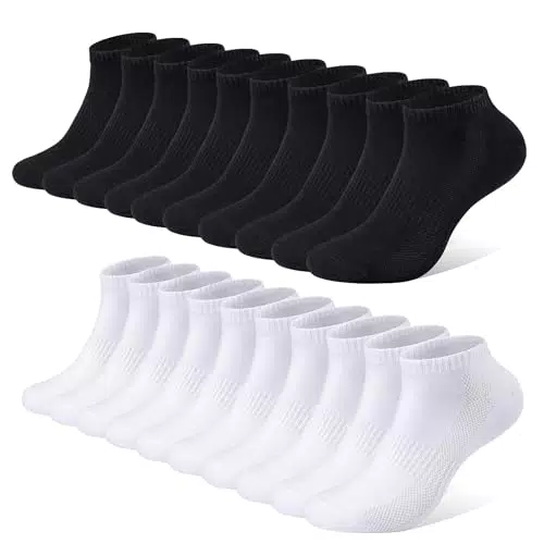 FALARY Chaussettes Basses Sport pour Hommes et Femmes en Coton