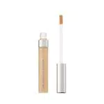 L'Oréal Accord Perfect Match Concealer