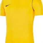 Nike Park20 T-Shirt Homme SS - Style Sportif et Confortable