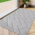 Biscpro Tapis de Porte Antidérapant et Absorbant pour Intérieur et Extérieur