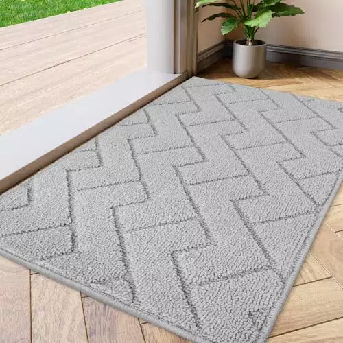 Biscpro Tapis de Porte Paillasson d'Entree Interieur et Extérieur Tapis Antidérapant et Absorbant