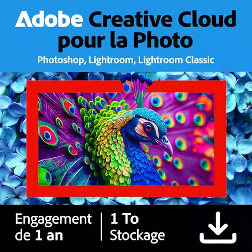 Adobe Creative Cloud 1TB : Abonnement 1 an pour Photoshop et Lightroom PC/Mac