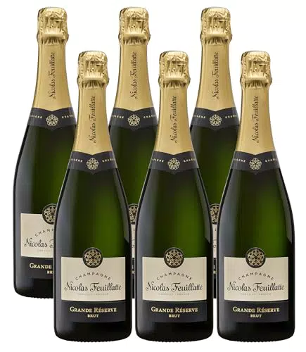 Nicolas Feuillatte Champagne Brut Rosé