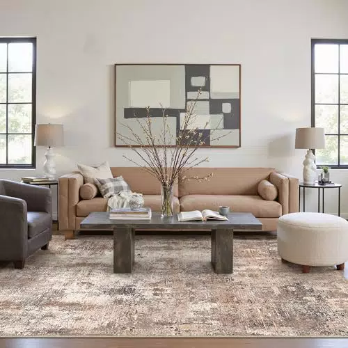 Beimo Tapis Moderne Abstrait Antidérapant Lavable pour Salon, Chambre, Bureau